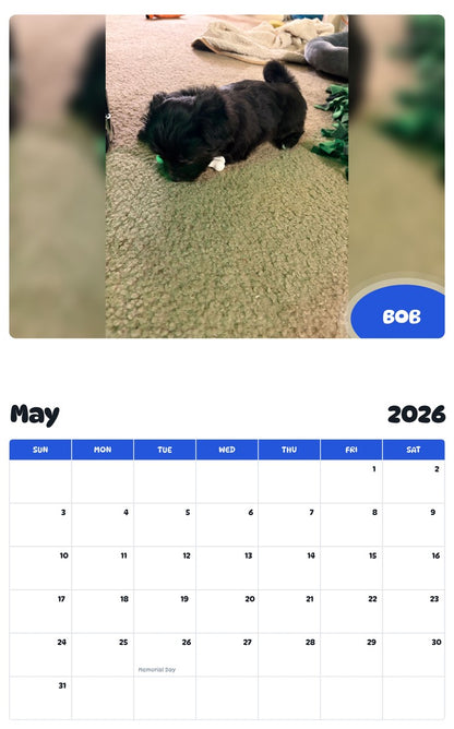 2026 - 2027 BOB - Pawidols Pet Calendar