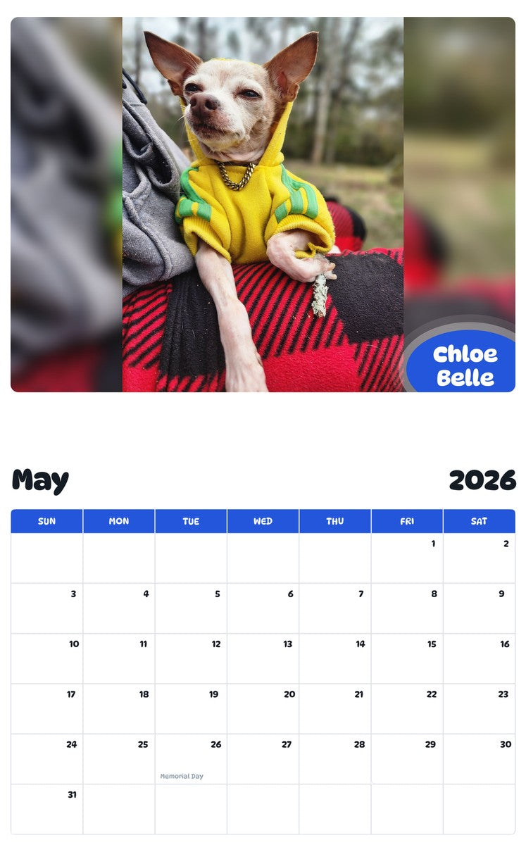 2026 - 2027 Chloe Belle - Pawidols Pet Calendar