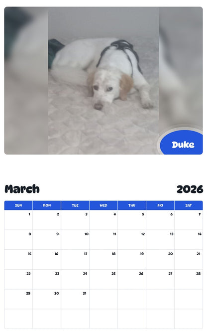 November 2025 - October 2026 Duke - Pawidols Pet Calendar