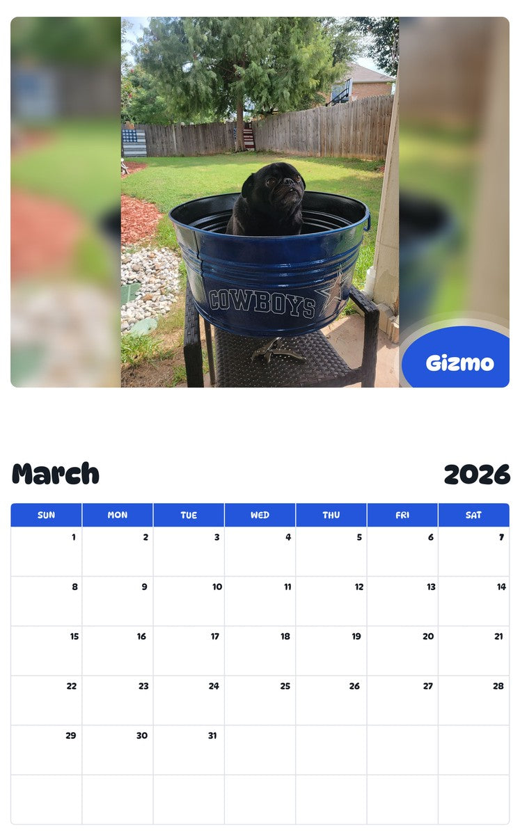 November 2025 - October 2026 Gizmo - Pawidols Pet Calendar