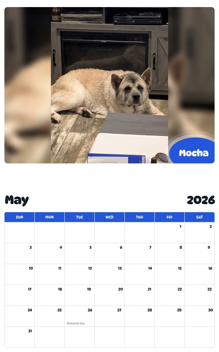 2026 - 2027 Mocha - Pawidols Pet Calendar