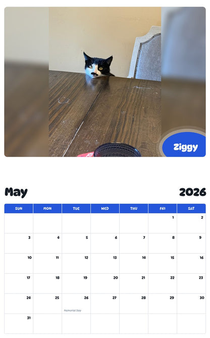 2026 - 2027 Ziggy - Pawidols Pet Calendar