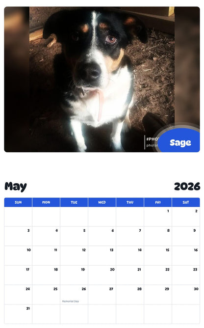 2026 - 2027 Sage - Pawidols Pet Calendar