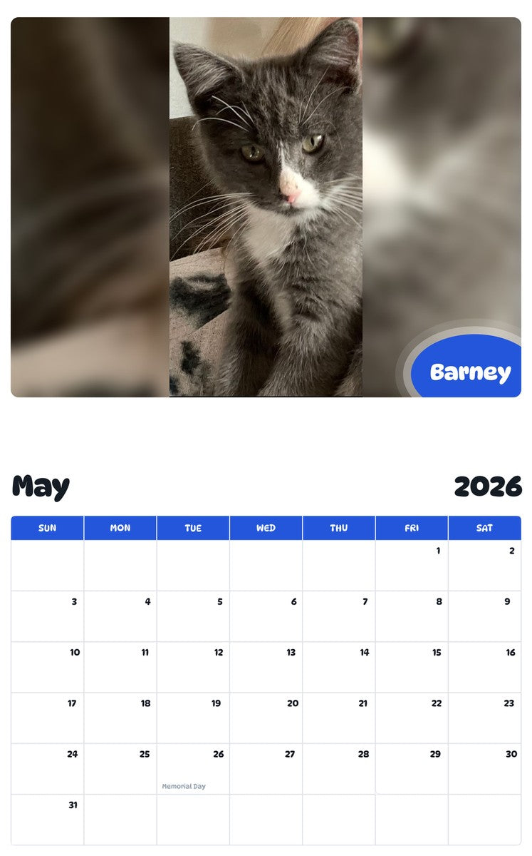 2026 - 2027 Barney - Pawidols Pet Calendar