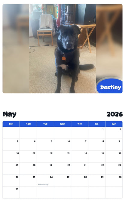 2026 - 2027 Destiny - Pawidols Pet Calendar