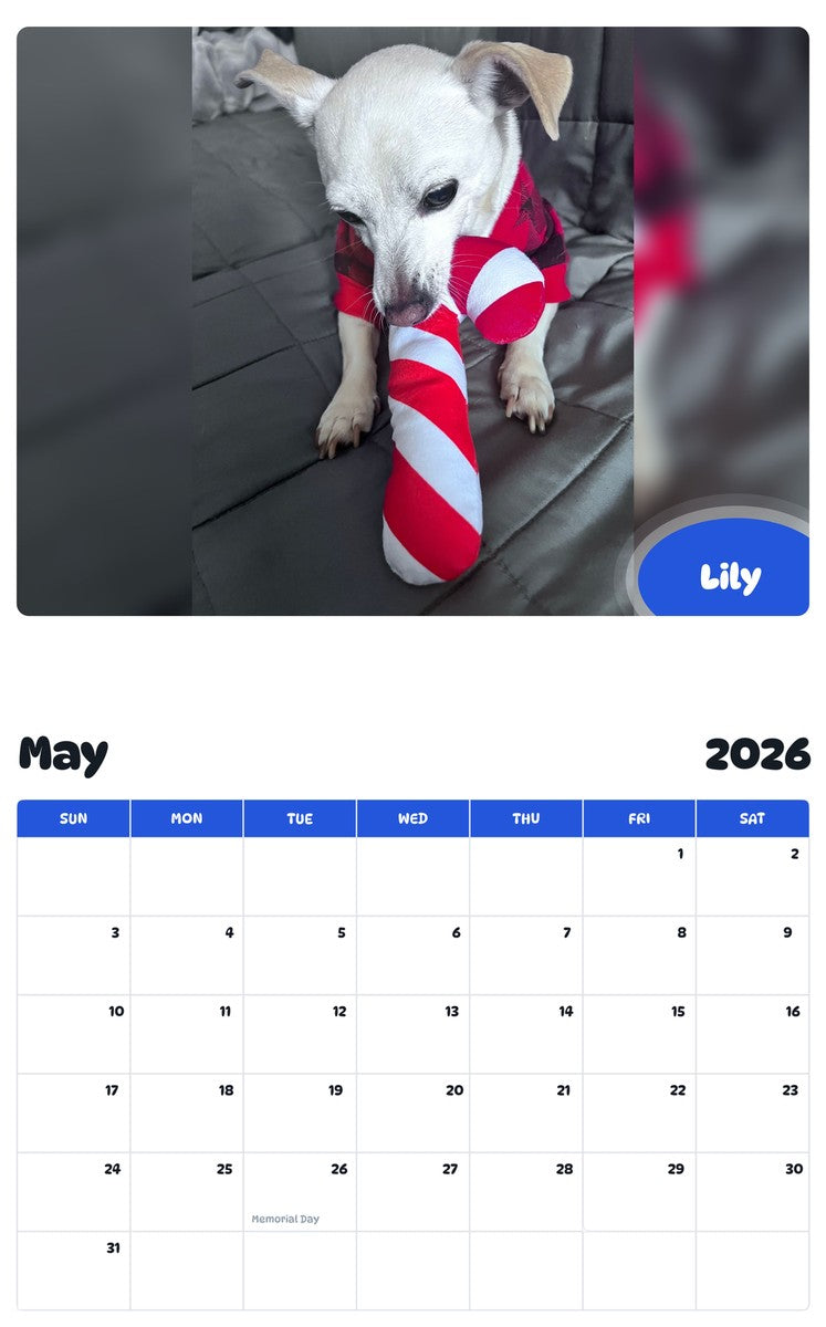 2026 - 2027 Lily - Pawidols Pet Calendar