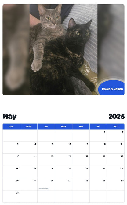 2026 - 2027 Chika & Raven - Pawidols Pet Calendar