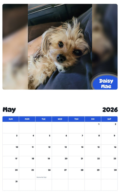 2026 - 2027 Daisy Mae - Pawidols Pet Calendar