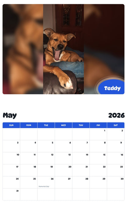 2026 - 2027 Teddy - Pawidols Pet Calendar
