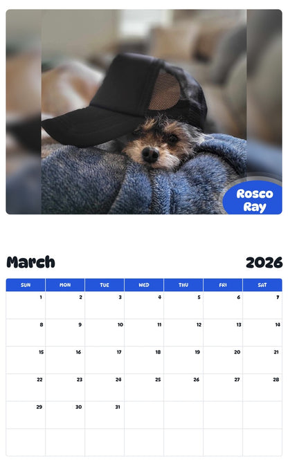 November 2025 - October 2026 Rosco Ray - Pawidols Pet Calendar