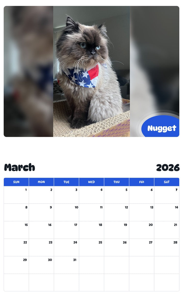 November 2025 - October 2026 Nugget - Pawidols Pet Calendar