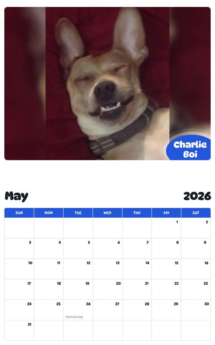 2026 - 2027 Charlie Boi - Pawidols Pet Calendar