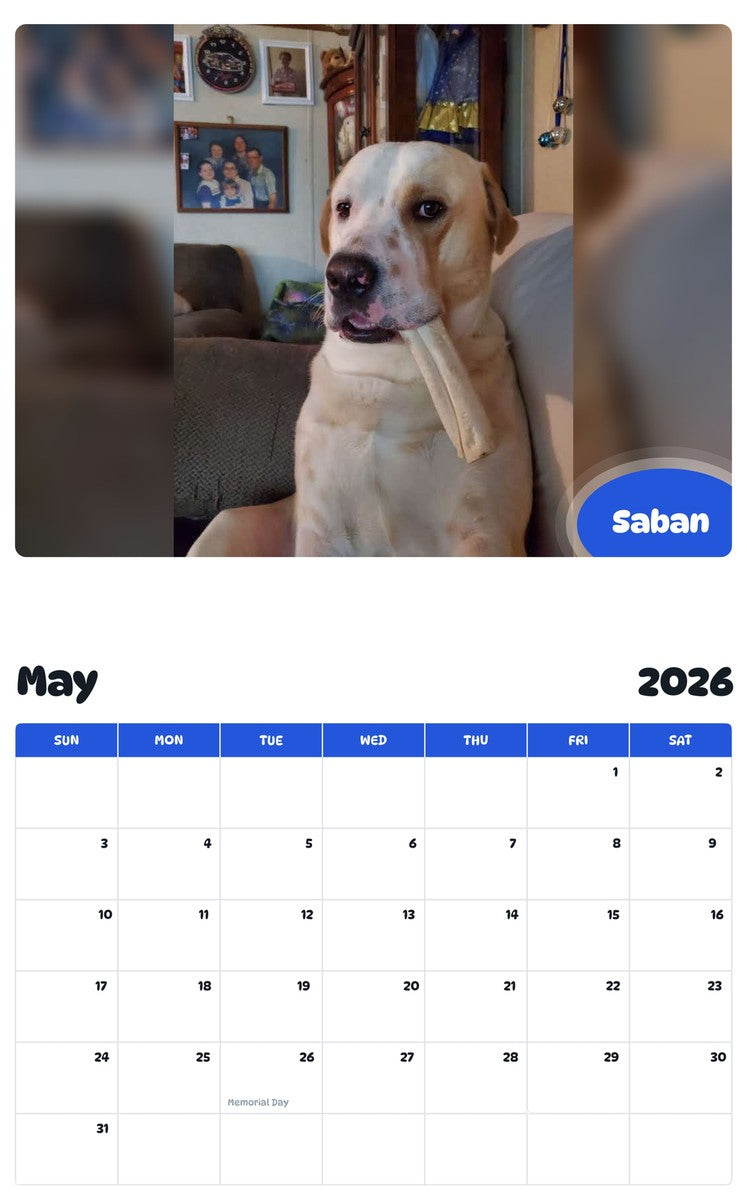 2026 - 2027 Saban - Pawidols Pet Calendar