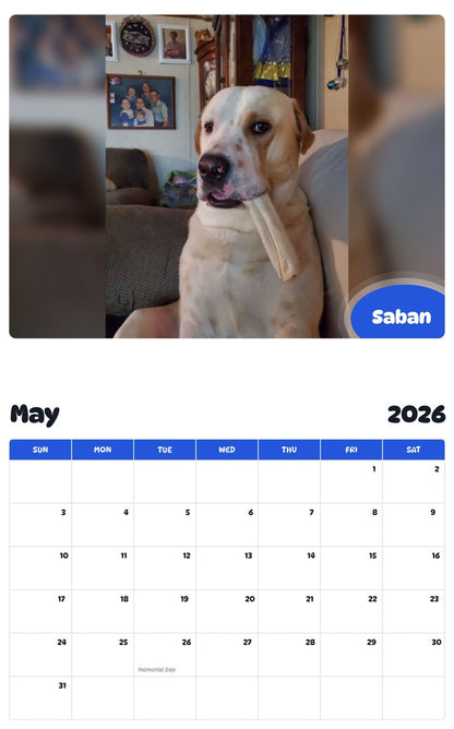 2026 - 2027 Saban - Pawidols Pet Calendar