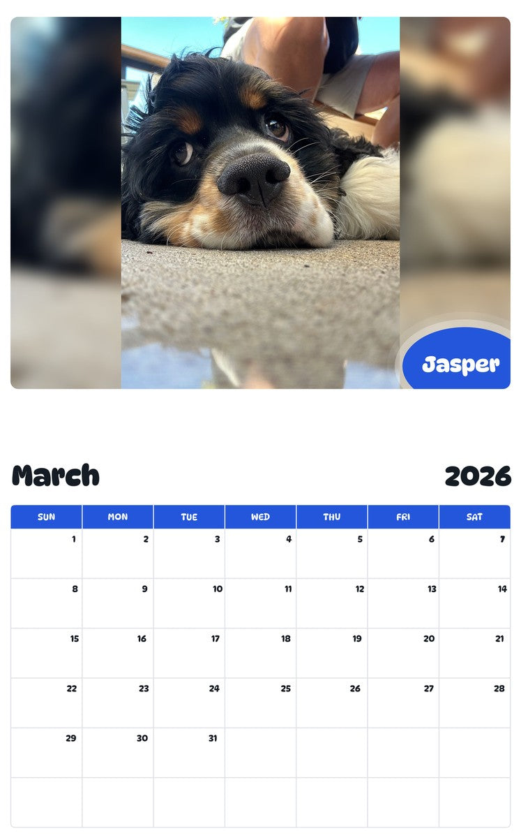 November 2025 - October 2026 Jasper - Pawidols Pet Calendar
