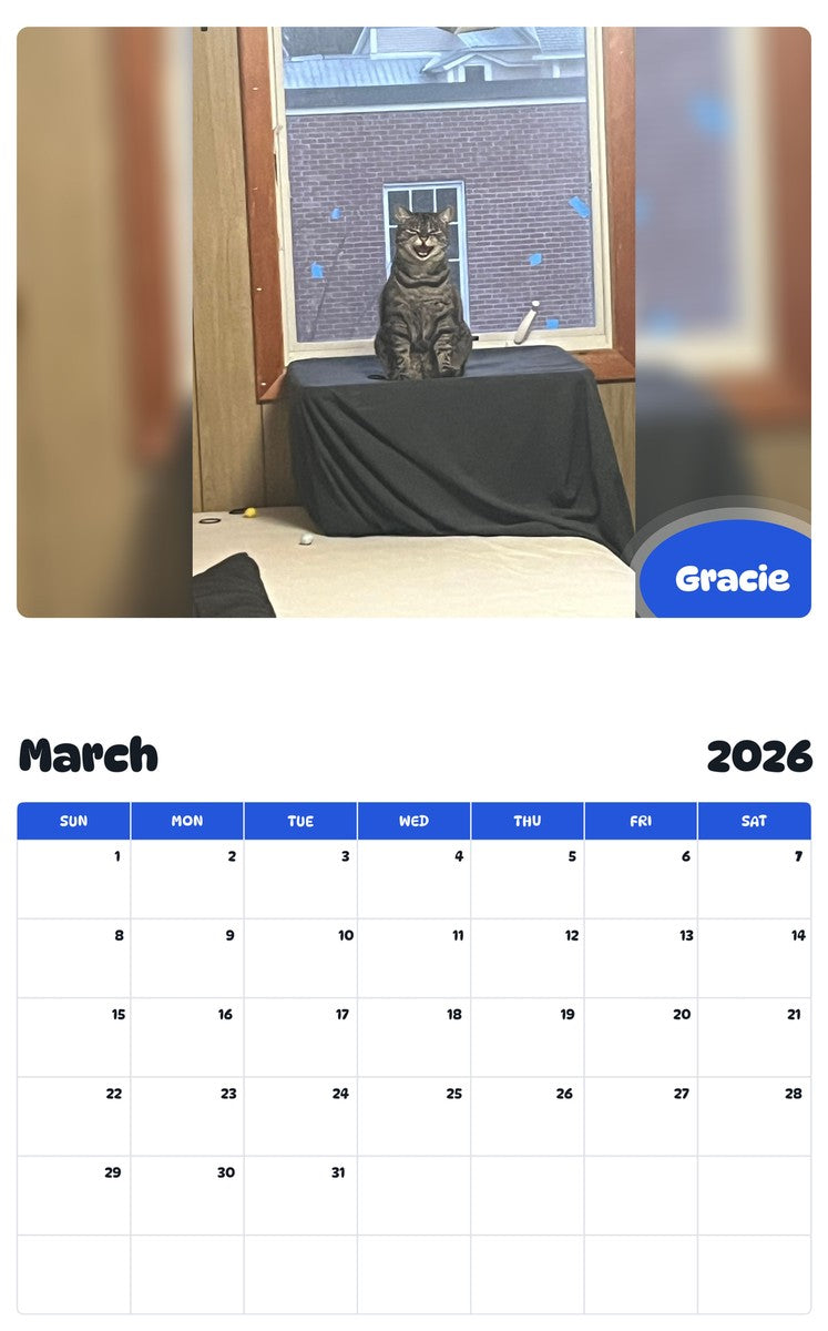 November 2025 - October 2026 Gracie - Pawidols Pet Calendar
