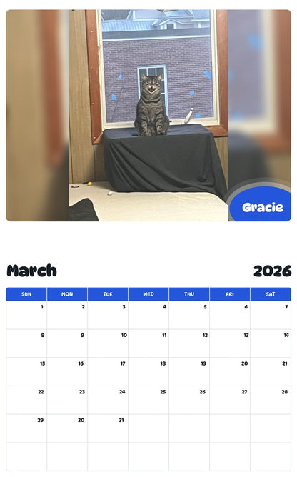 November 2025 - October 2026 Gracie - Pawidols Pet Calendar
