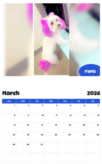 November 2025 - October 2026 Paris - Pawidols Pet Calendar