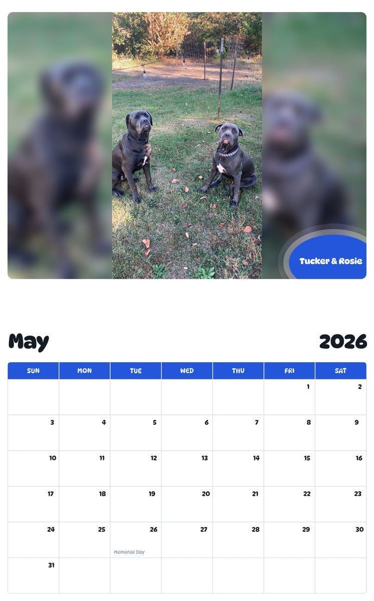 2026 - 2027 Tucker & Rosie - Pawidols Pet Calendar