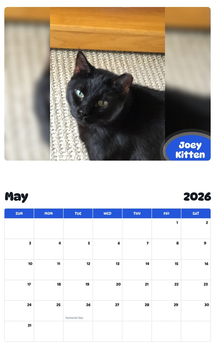 2026 - 2027 Joey Kitten - Pawidols Pet Calendar
