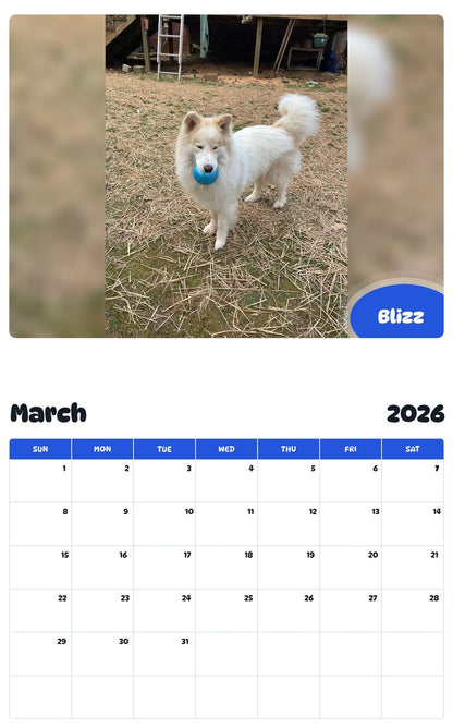 November 2025 - October 2026 Blizz - Pawidols Pet Calendar