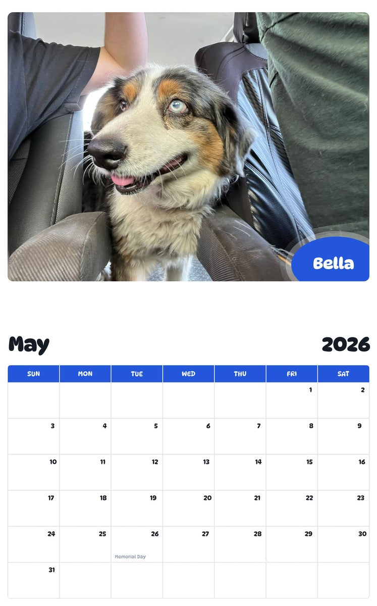 2026 - 2027 Bella - Pawidols Pet Calendar