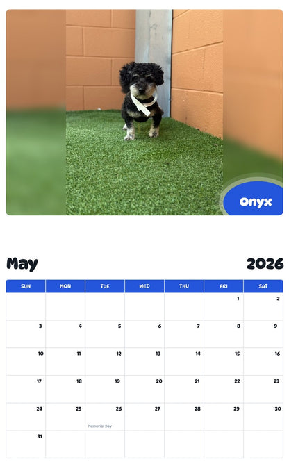 2026 - 2027 Onyx - Pawidols Pet Calendar