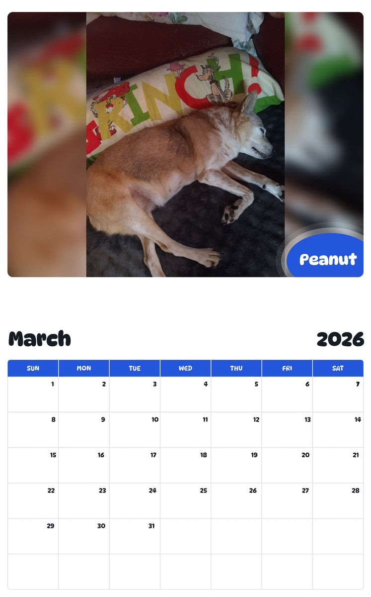 November 2025 - October 2026 Peanut - Pawidols Pet Calendar