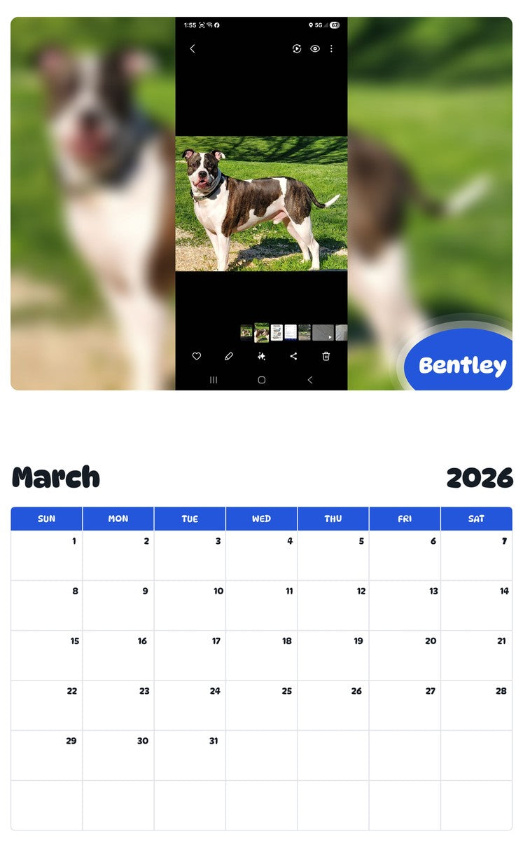 November 2025 - October 2026 Bentley - Pawidols Pet Calendar