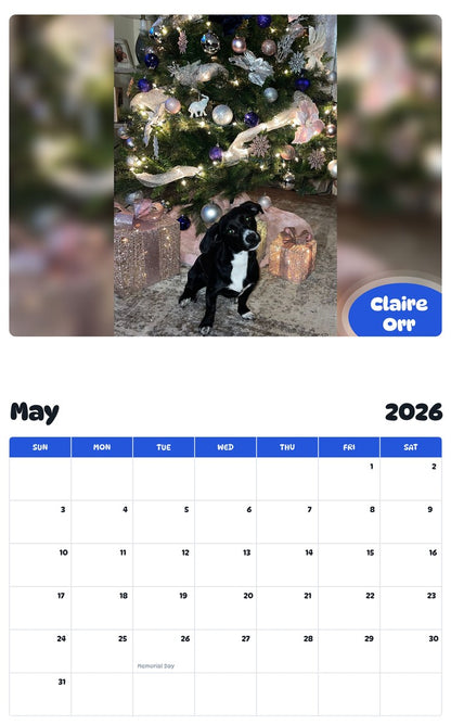 2026 - 2027 Claire Orr - Pawidols Pet Calendar