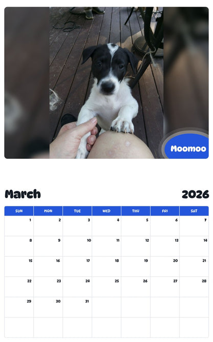 November 2025 - October 2026 Moomoo - Pawidols Pet Calendar