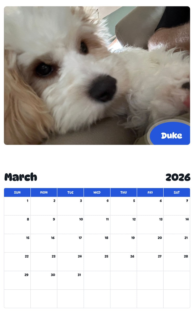 November 2025 - October 2026 Duke - Pawidols Pet Calendar