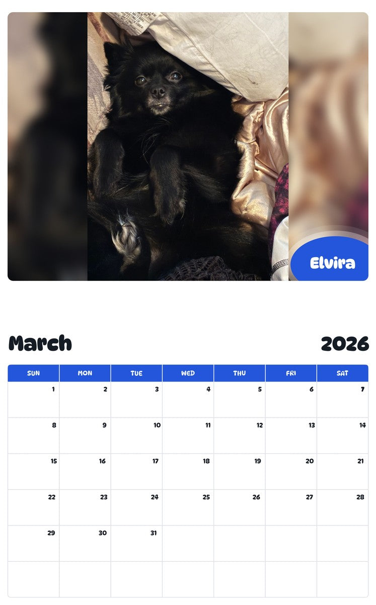 November 2025 - October 2026 Elvira - Pawidols Pet Calendar