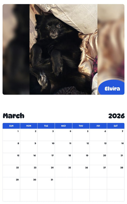 November 2025 - October 2026 Elvira - Pawidols Pet Calendar