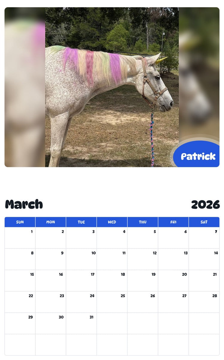 November 2025 - October 2026 Patrick - Pawidols Pet Calendar