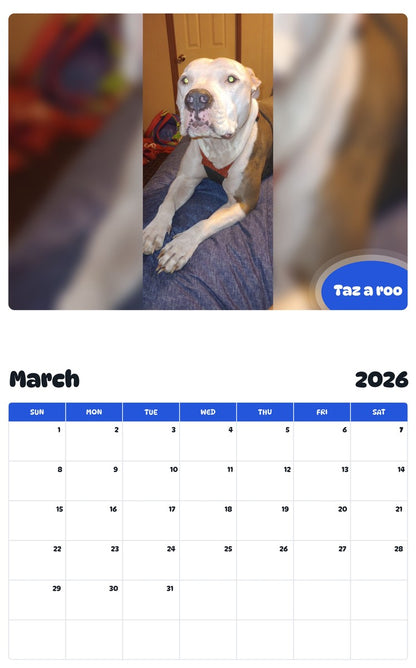November 2025 - October 2026 Taz a roo - Pawidols Pet Calendar