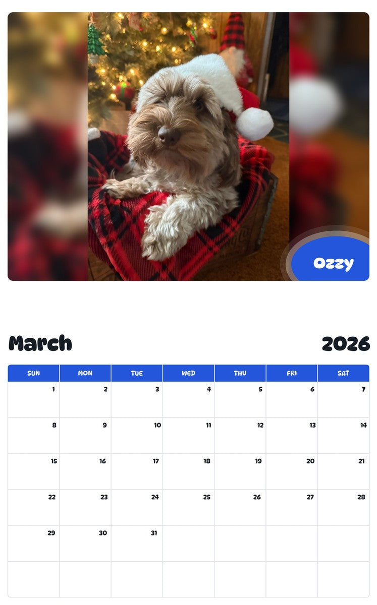 November 2025 - October 2026 Ozzy - Pawidols Pet Calendar