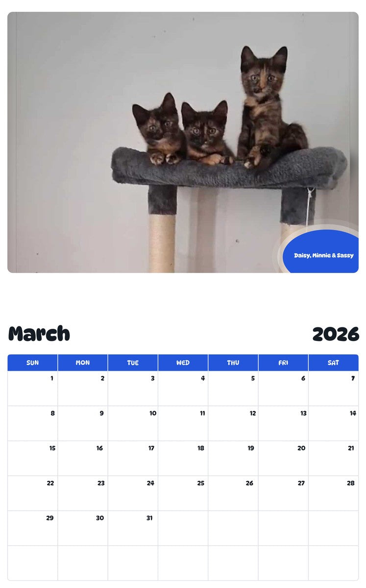 November 2025 - October 2026 Daisy, Minnie & Sassy - Pawidols Pet Calendar