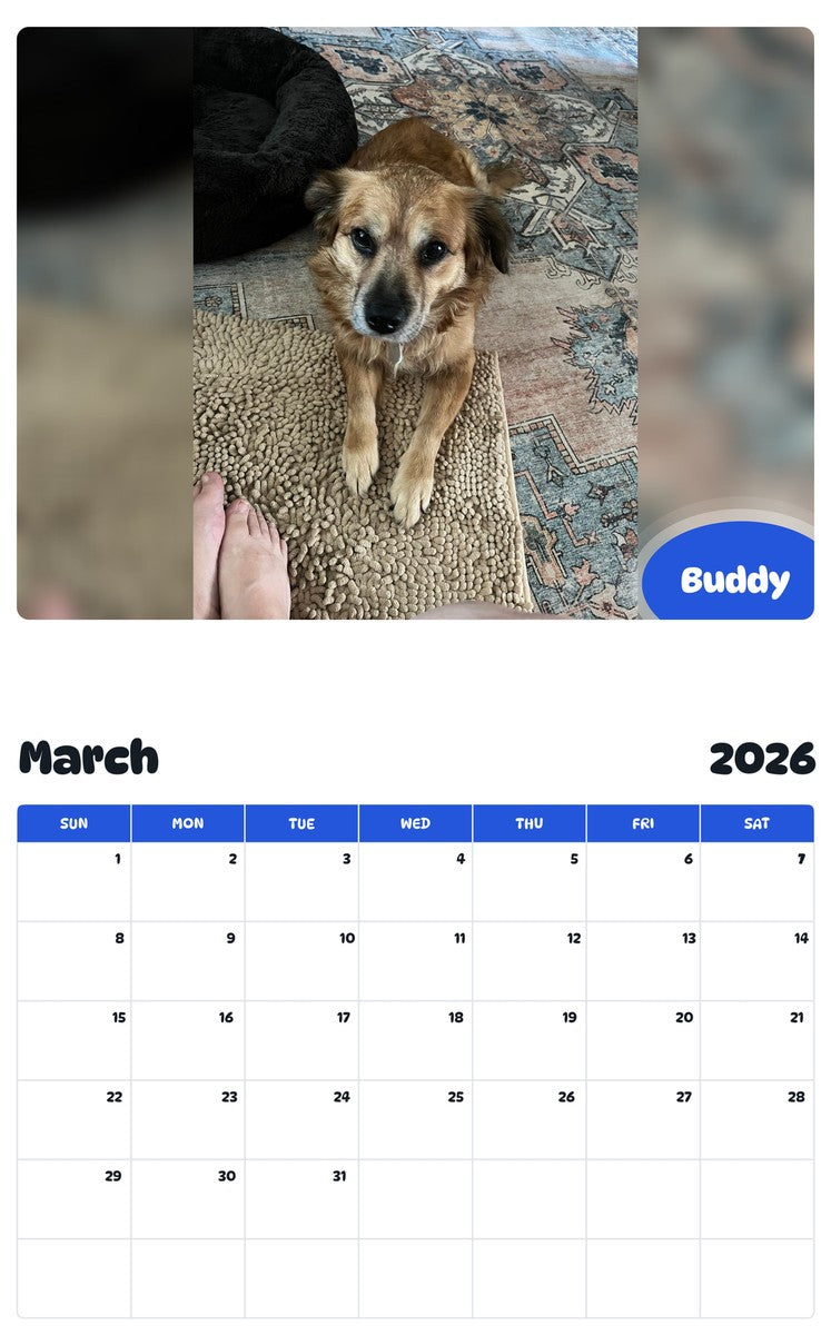 November 2025 - October 2026 Buddy - Pawidols Pet Calendar