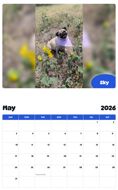 2026 - 2027 Sky - Pawidols Pet Calendar
