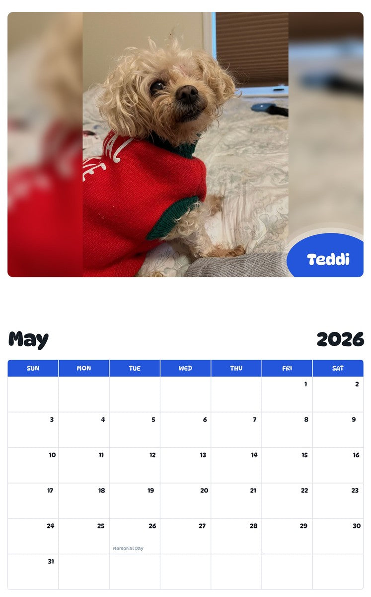 2026 - 2027 Teddi - Pawidols Pet Calendar