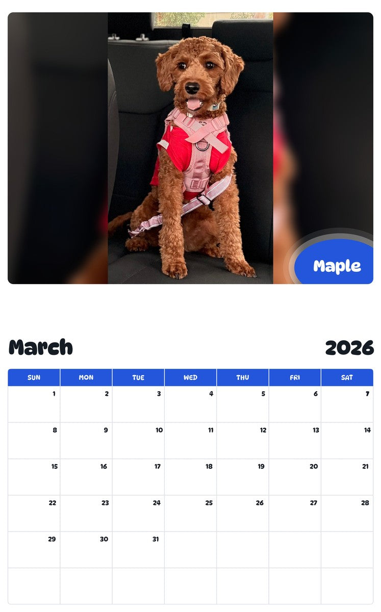 November 2025 - October 2026 Maple - Pawidols Pet Calendar