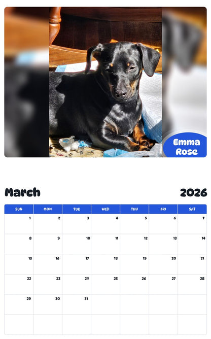 November 2025 - October 2026 Emma Rose - Pawidols Pet Calendar