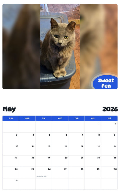 2026 - 2027 Sweet Pea - Pawidols Pet Calendar