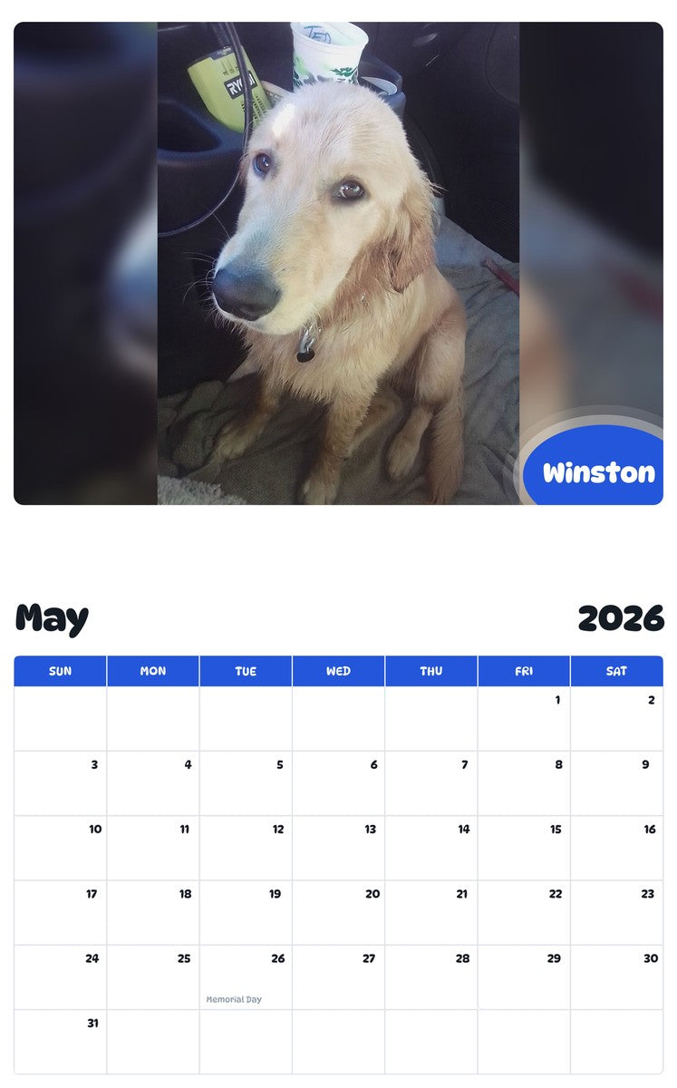 2026 - 2027 Winston - Pawidols Pet Calendar