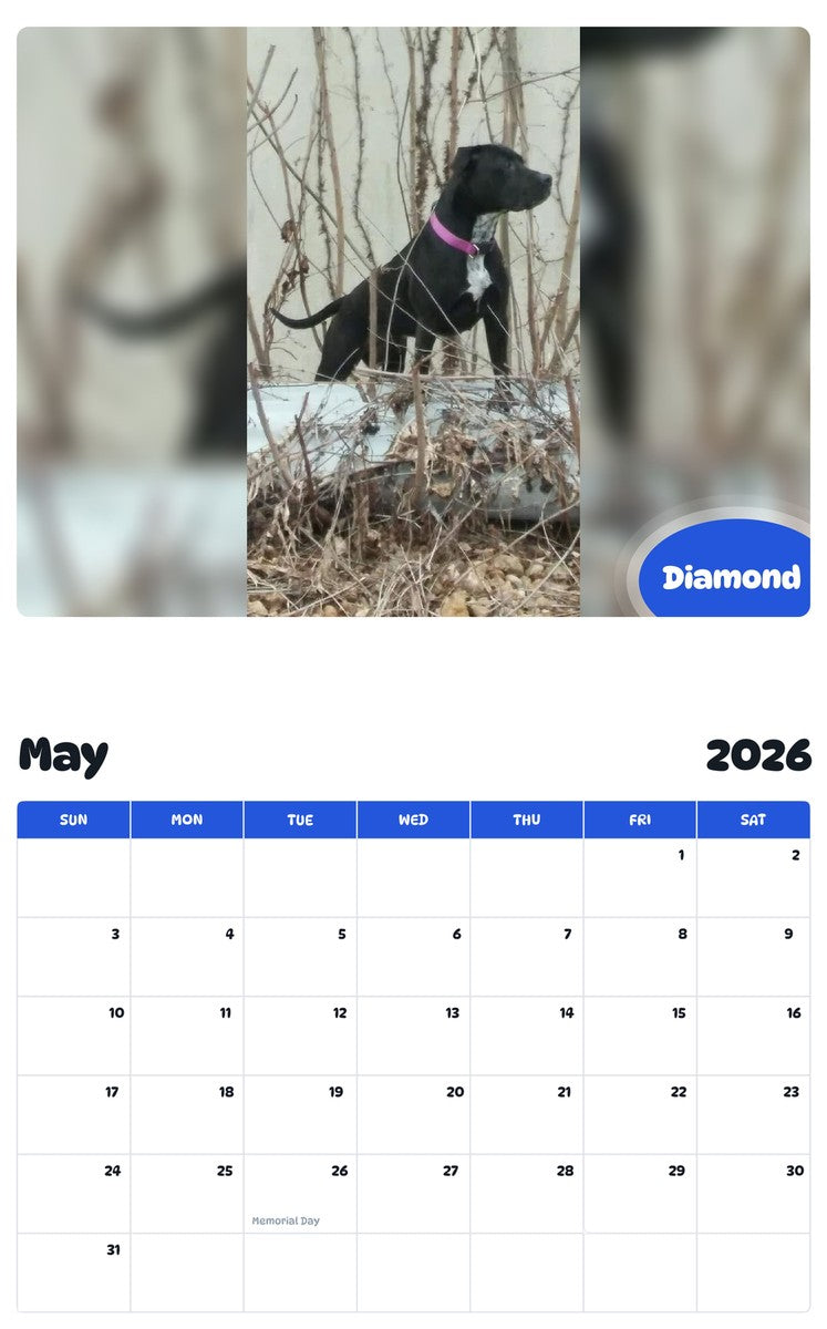 2026 - 2027 Diamond - Pawidols Pet Calendar