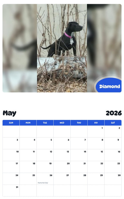 2026 - 2027 Diamond - Pawidols Pet Calendar