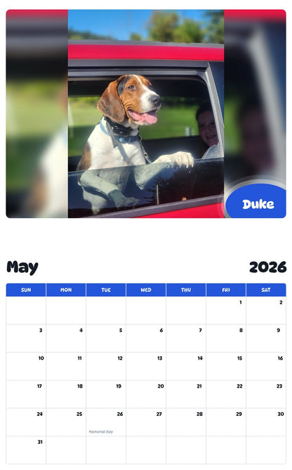 2026 - 2027 Duke - Pawidols Pet Calendar