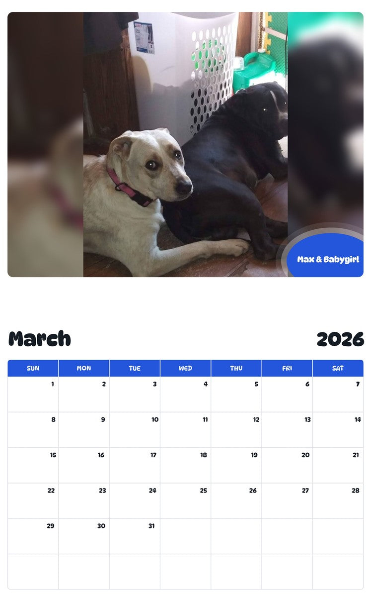 November 2025 - October 2026 Max & Babygirl - Pawidols Pet Calendar