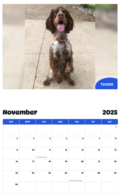 July 2025 - June 2026 Tucker - Pawidols Pet Calendar